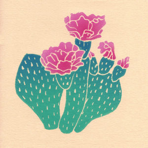 A pink flower blooms from a cactus.
